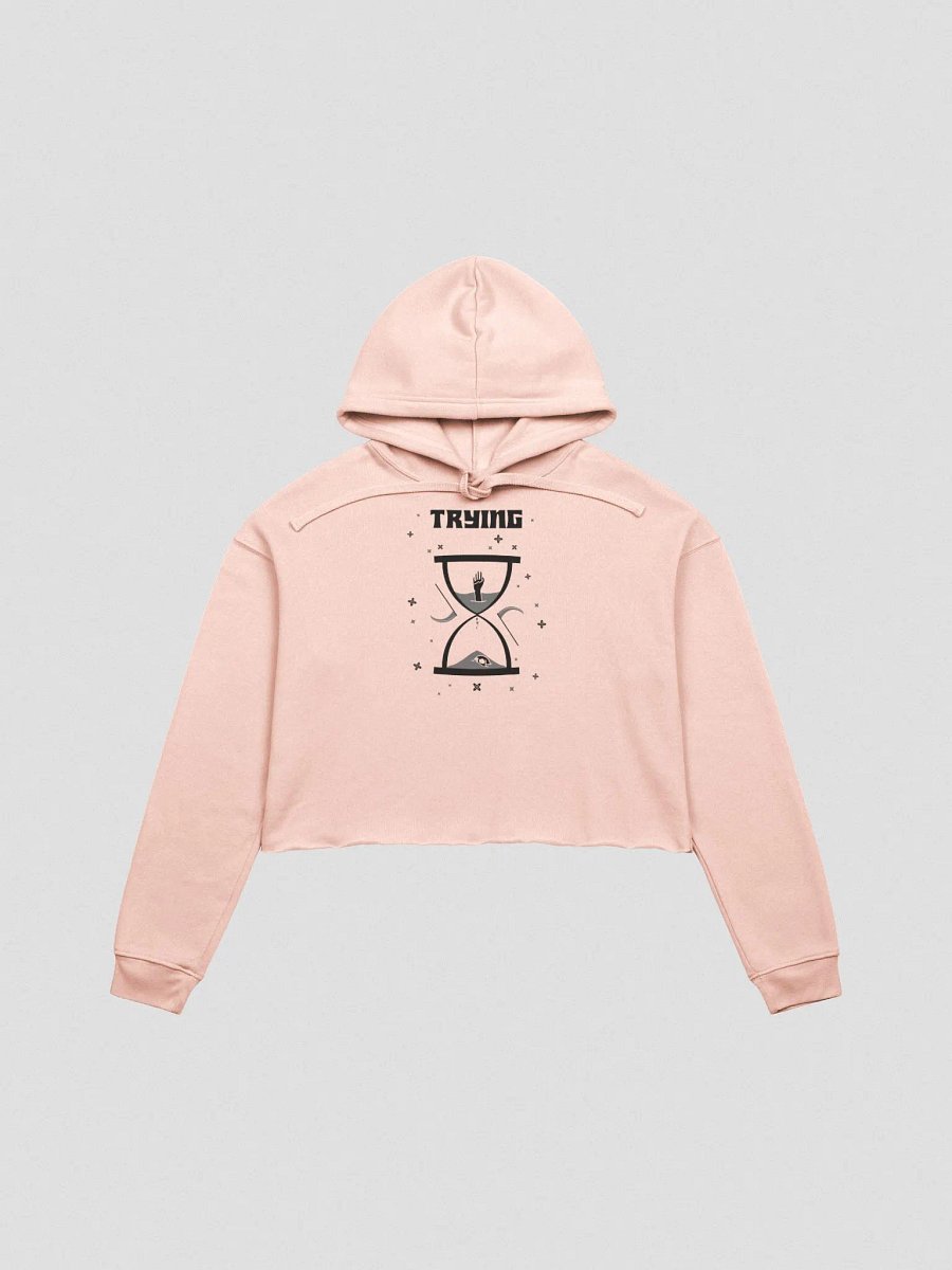 Trying Times fleece crop hoodie product image (2)