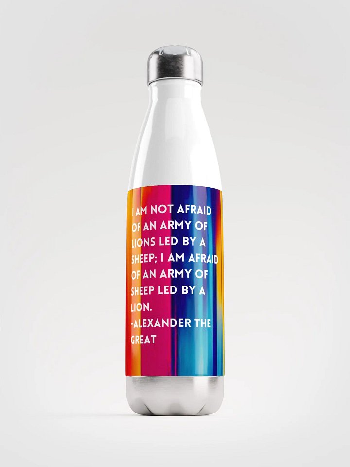 Stainless Steel Water Bottle product image (1)