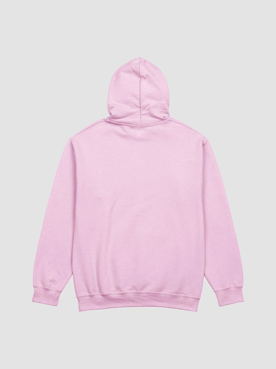 Postal life UNISEX hoodie product image (19)