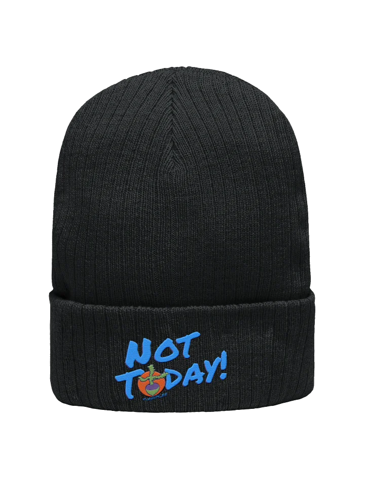 NT Ribbed Knit Beanie product image (1)