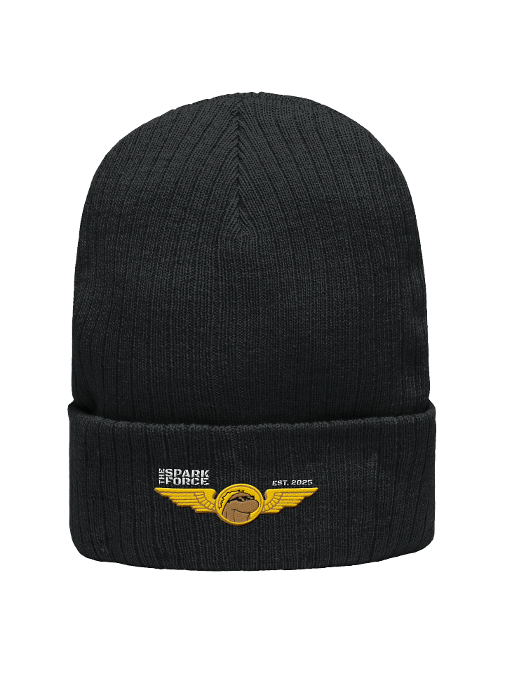 Beanie product image (1)