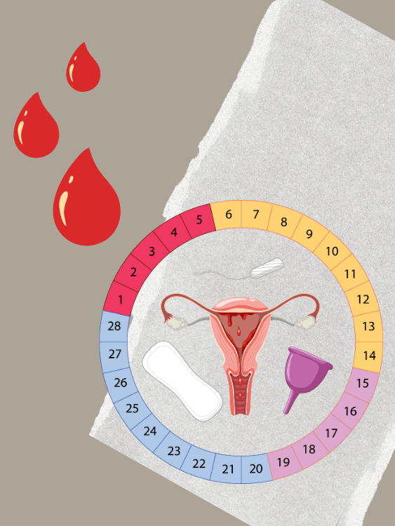 Monthly Feminine Business Rhythm product image (1)