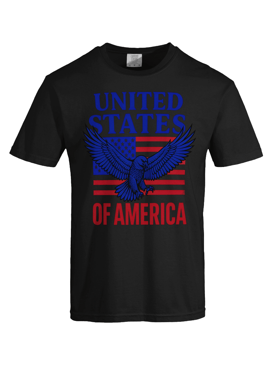 Patriotic Eagle Graphic Tee product image (49)