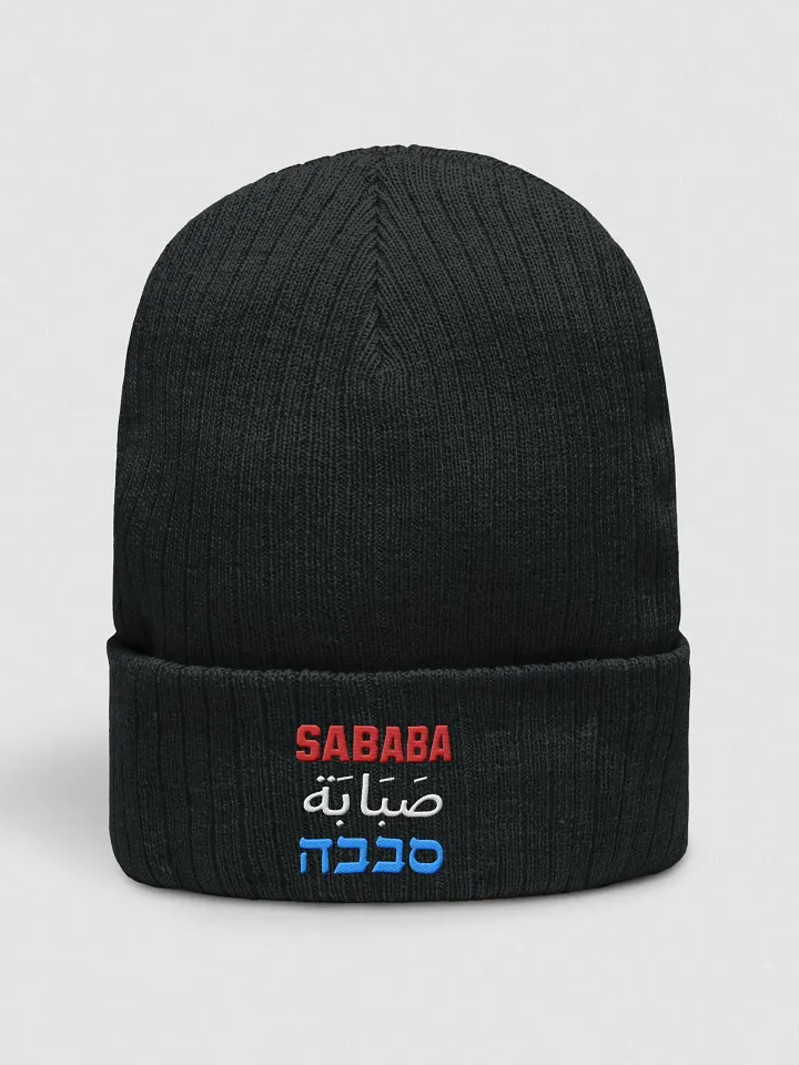 Sababa Embroidered Beanie product image (2)