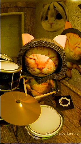 BASEMENT SESSION #b3d #cat #kitten