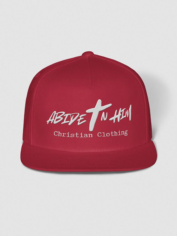 Abide In Him Christian Clothing Snapback Cap product image (1)
