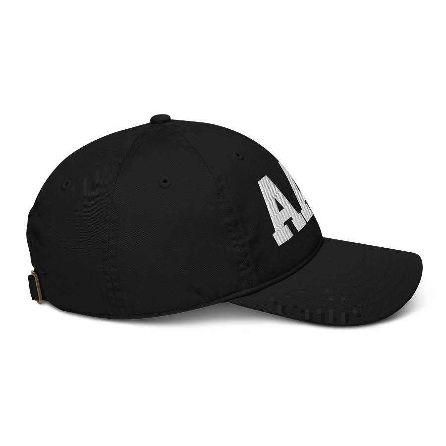 AAU Organic Dad Hat product image (9)