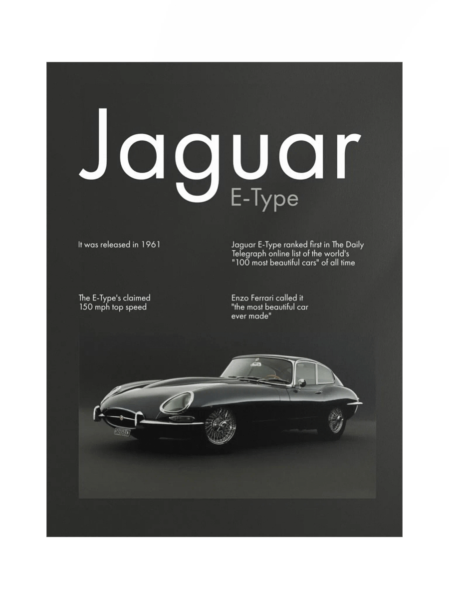 JAGUAR ETYPE product image (1)
