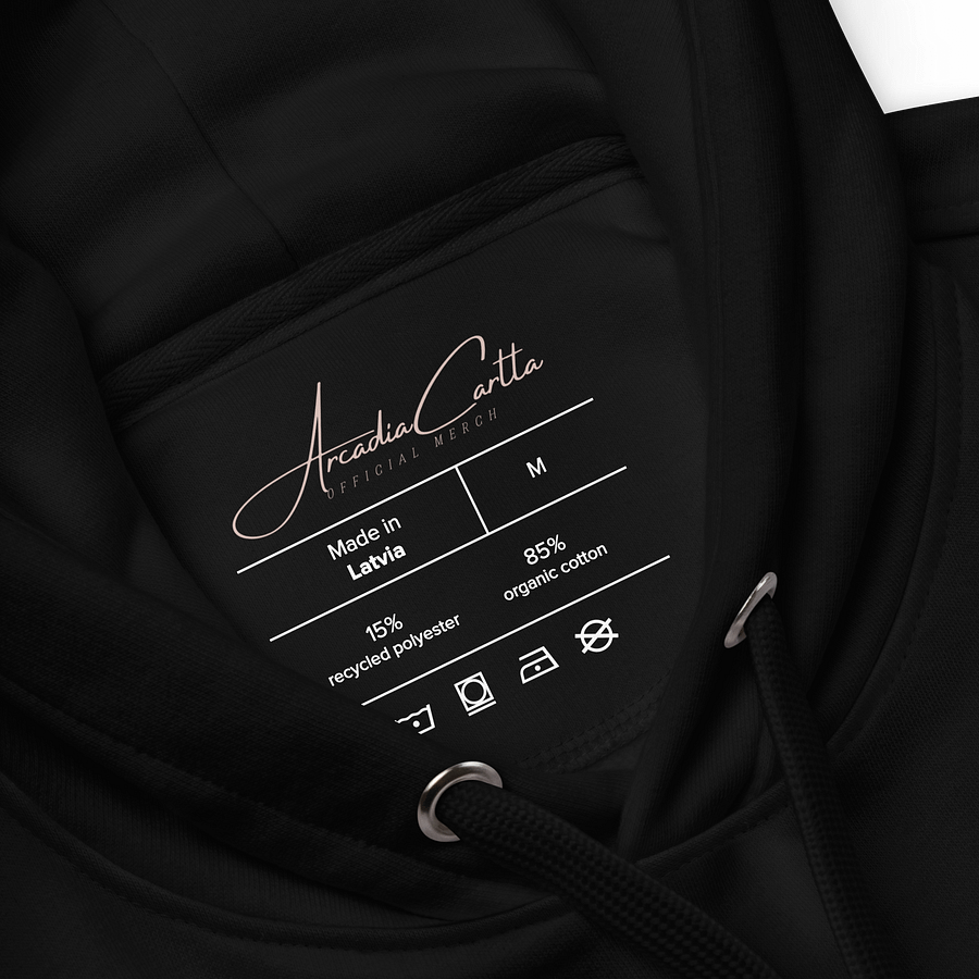 It Is What It Is Eco Hoodie product image (14)