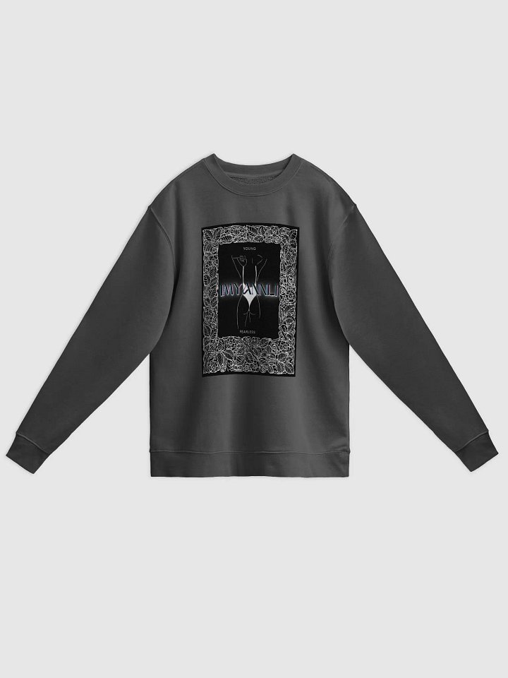 Sweatshirt C (multi color) product image (3)
