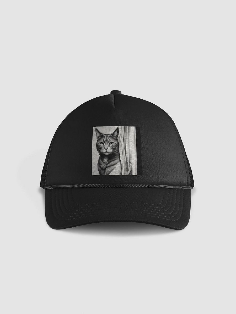 Cat product image (2)