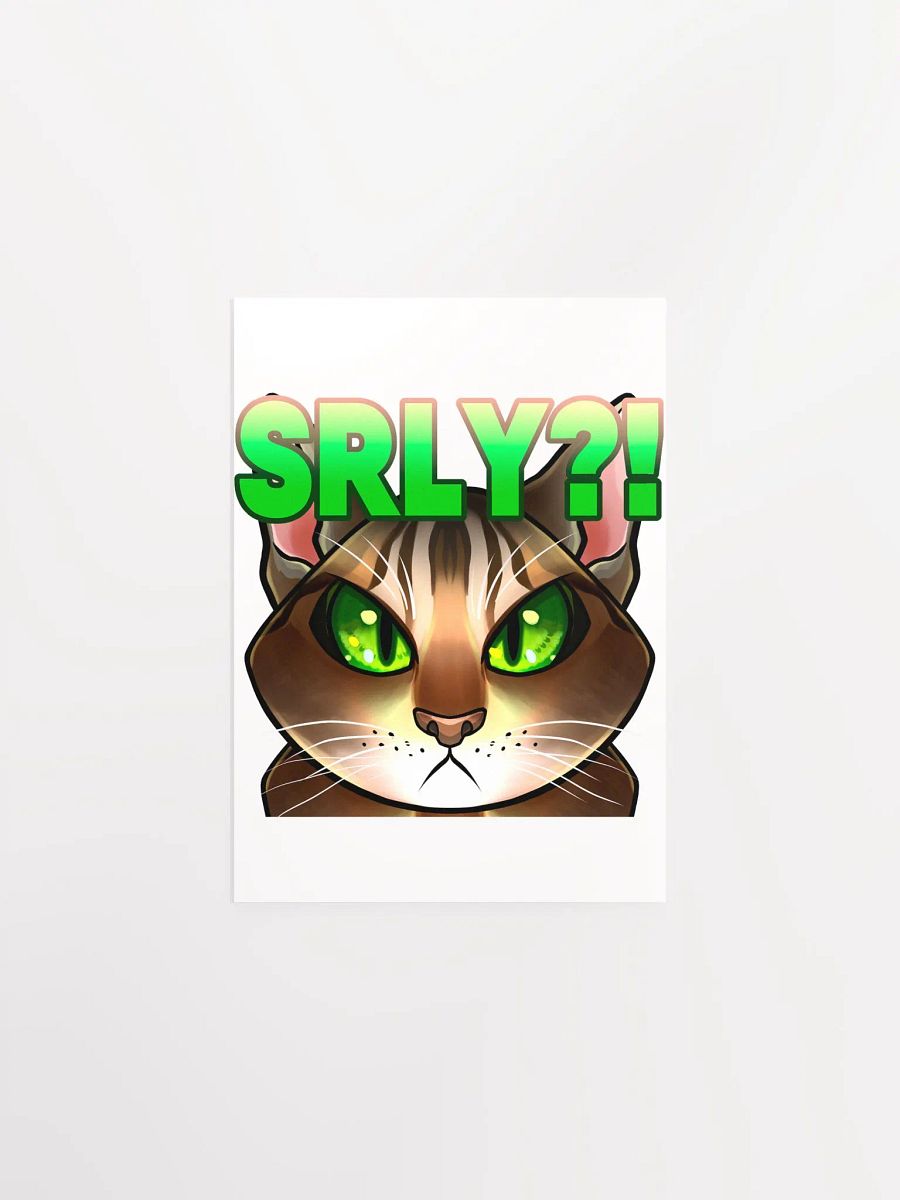 SRLY?! Poster product image (3)