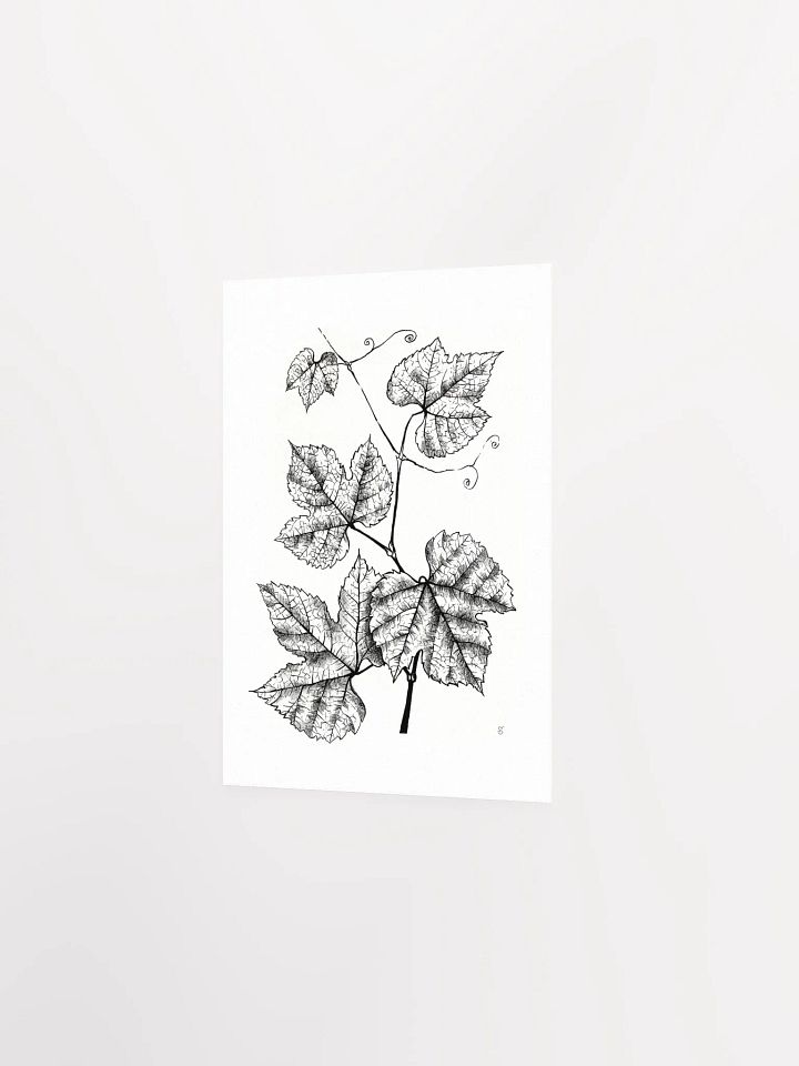 Enchanted Vine: Premium Matte Poster - Grape Leaves product image (2)