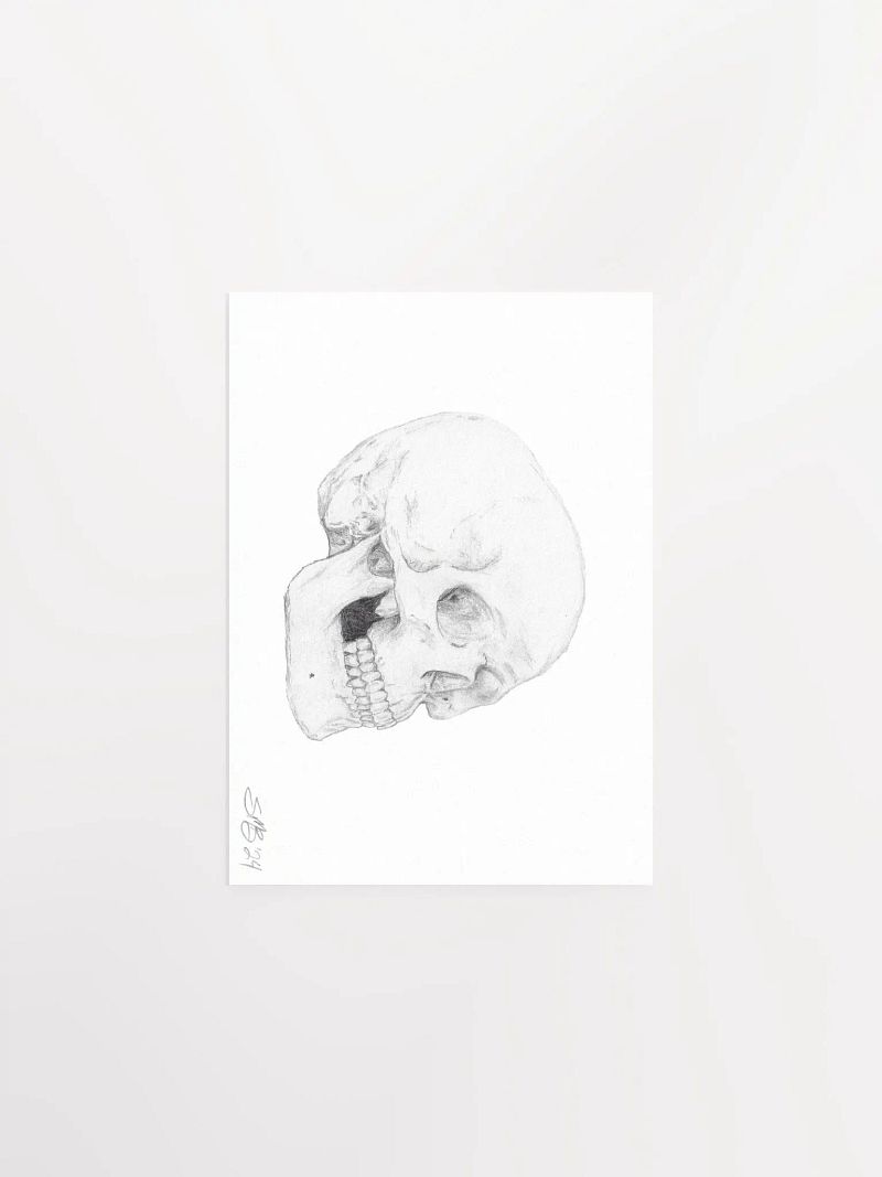 Skull Wall Art