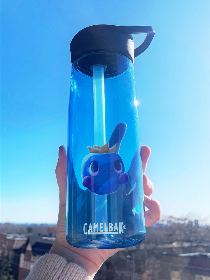 the b3rry bottle product image (1)