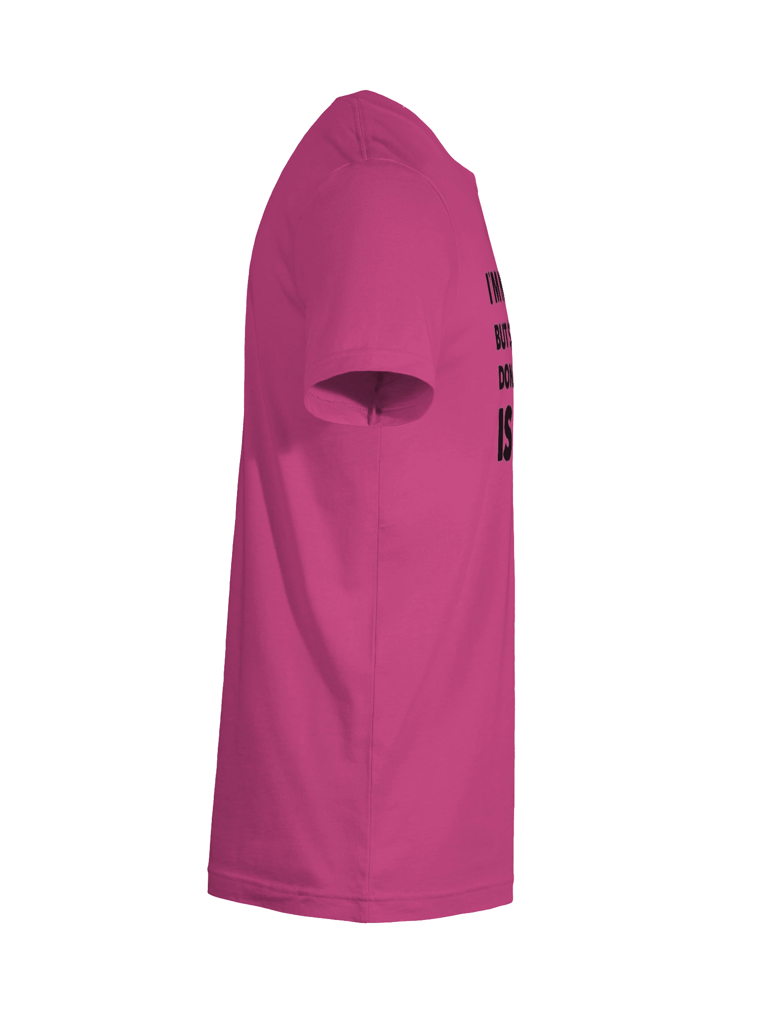 Not Gay $20K Tee Shirt product image (46)