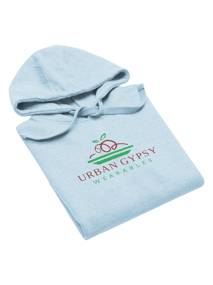 Urban Gypsy Apple on Plate Unisex Premium Hoodie product image (2)