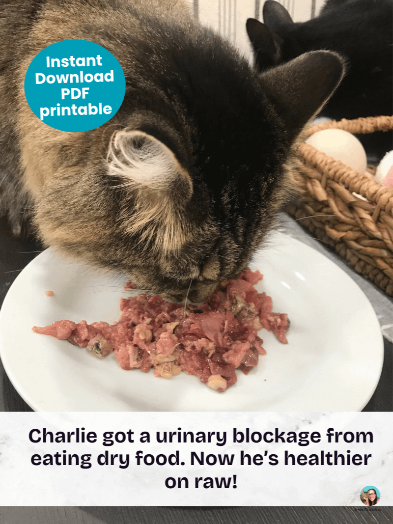 Turkey & chicken neck raw meaty bone cat food recipe ~ 1 recipe for adult cats product image (9)