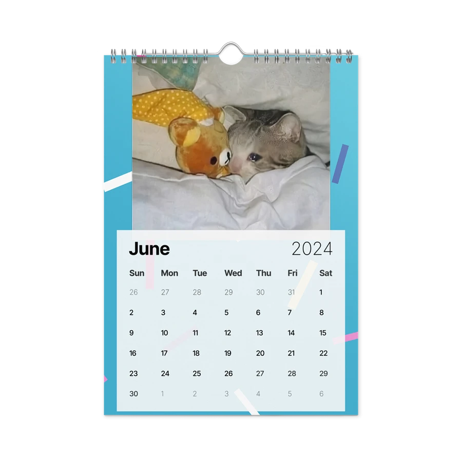 Wall Calendar (2024): Meme Cats product image (12)