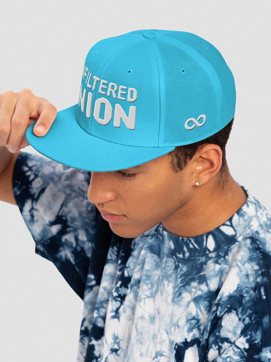 UNFILTERED UNION Wool Blend Snapback Cap product image (93)