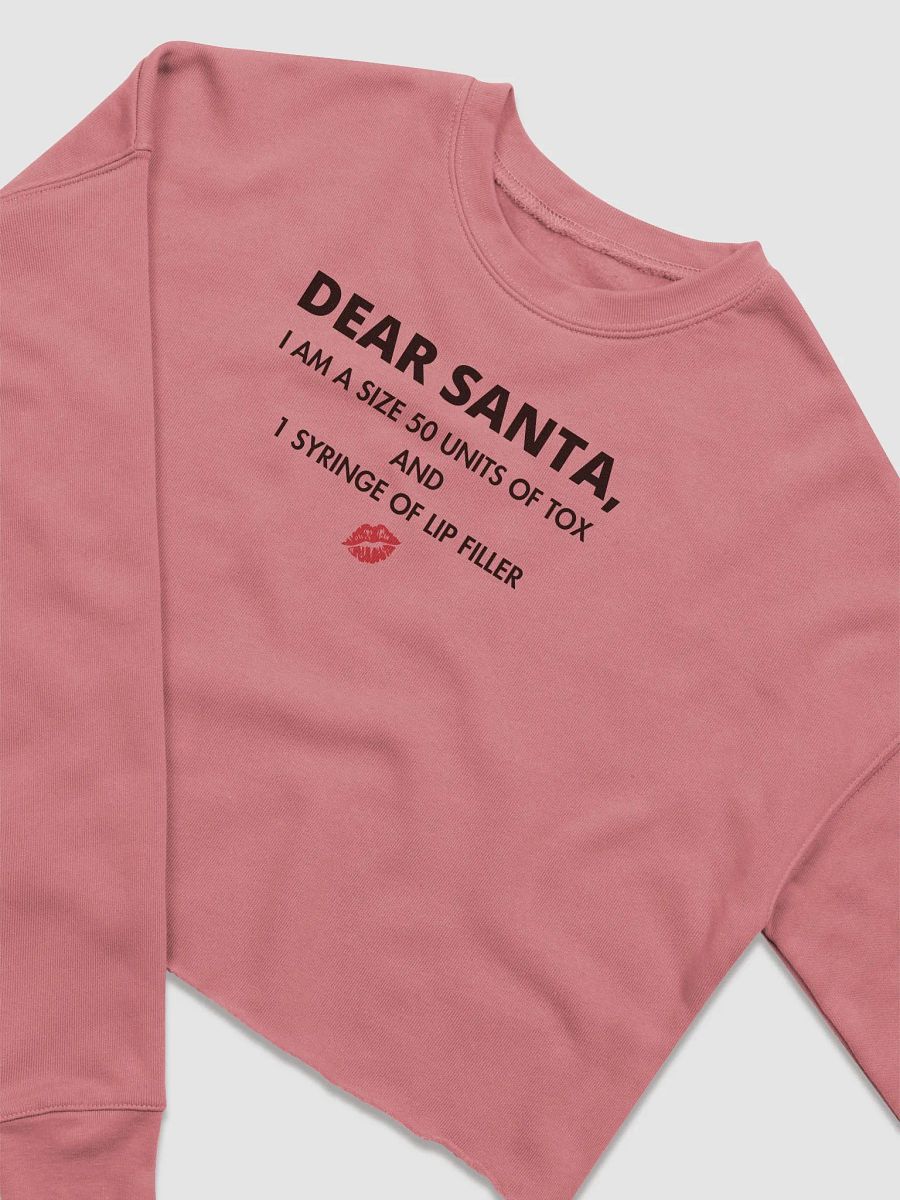 Dear Santa Fleece Crop Sweatshirt product image (4)