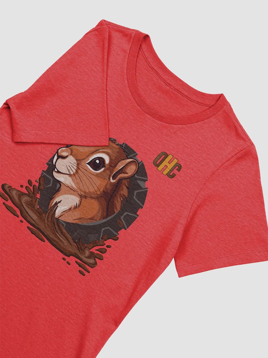 The Stash-N-Dash (Squirrel) - Bella+Canvas Women's Supersoft Relaxed-fit T-Shirt product image (21)