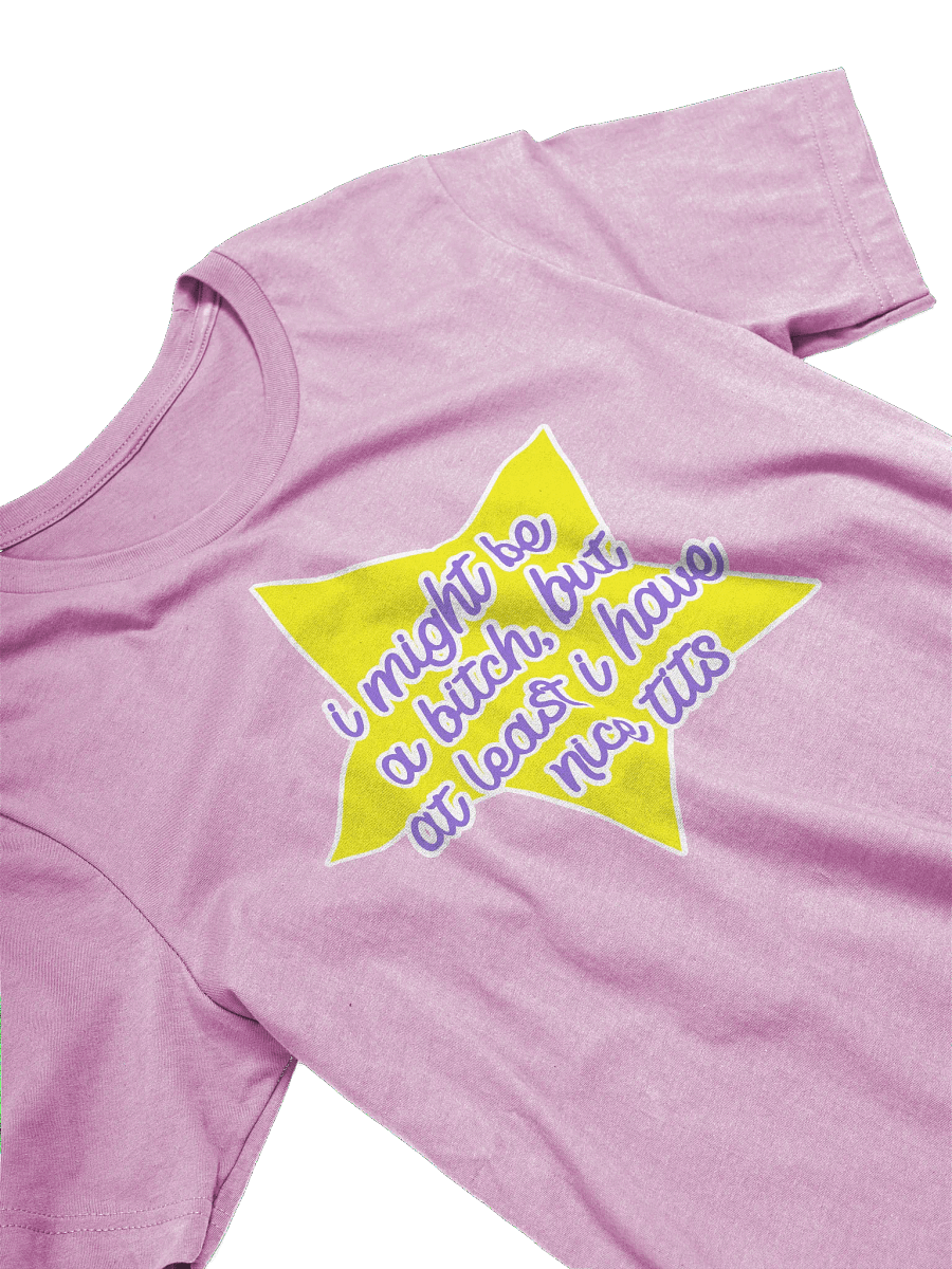 Nice T*ts - Shirt product image (13)
