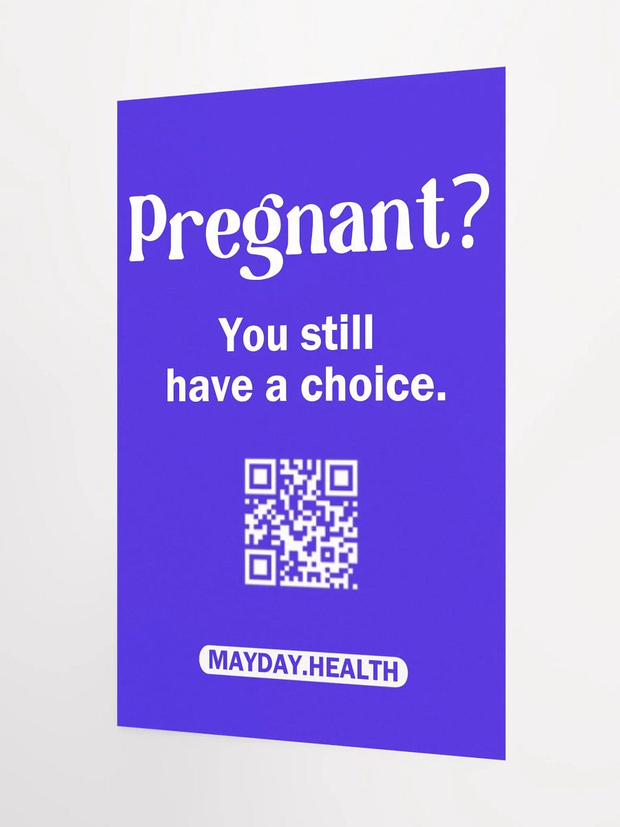 Pregnant? Poster product image (3)