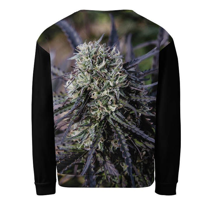Royal Purple Cultivated Crewneck Sweatshirt product image (2)