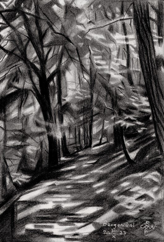 Berg en Dal – 30-10-23 product image (1)