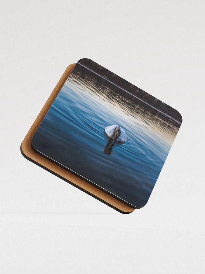 Swan in the lake product image (1)