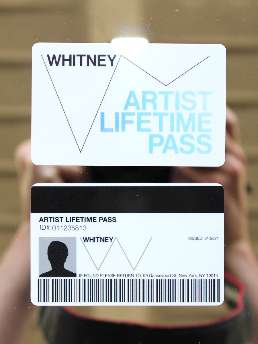 Whitney Museum Artist Lifetime Pass product image (2)