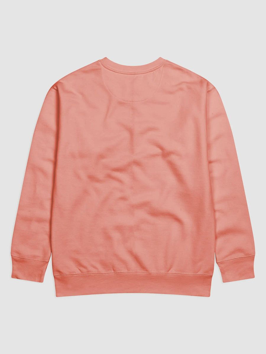 LLTB Unisex Sweatshirt product image (4)