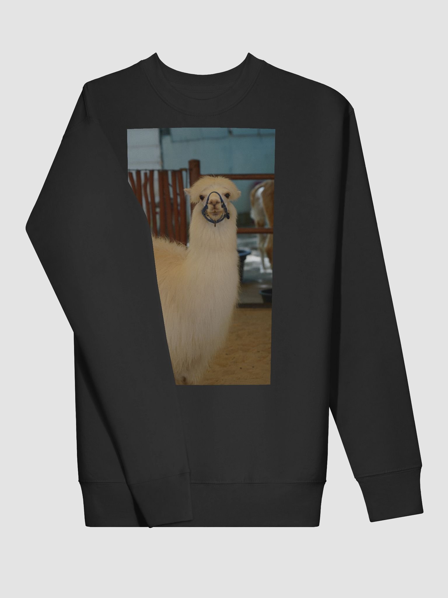 Andean Adventure Premium Sweatshirt product image (3)