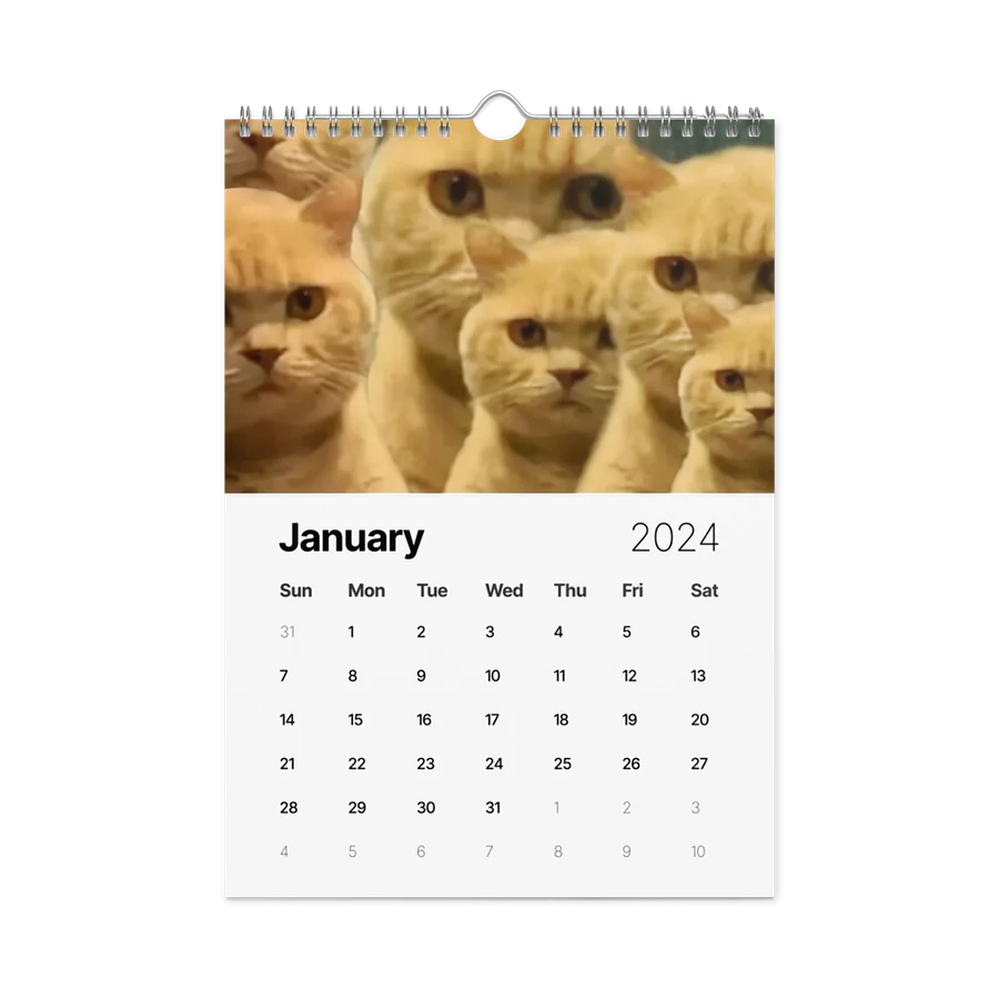 Wall Calendar (2024): Meme Cats product image (8)