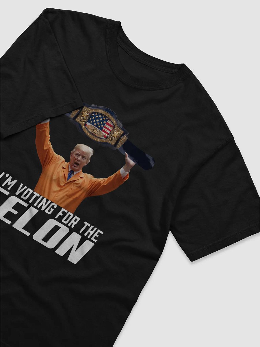 I'm Voting For The Felon Tee product image (3)