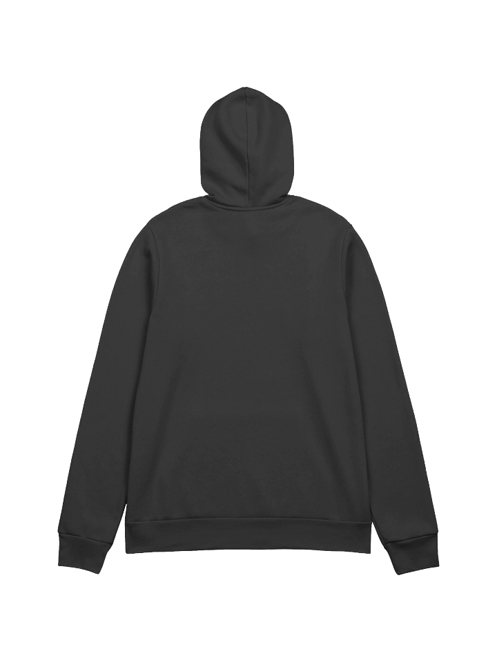 DTV...TV Logo Overhead Hoodie product image (5)