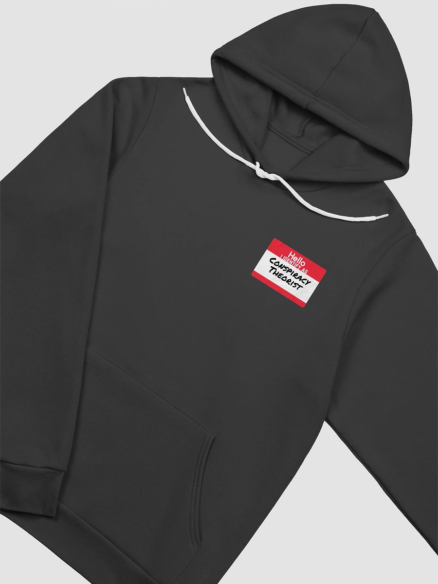 Conspiracy Pronouns Hoodie product image (3)