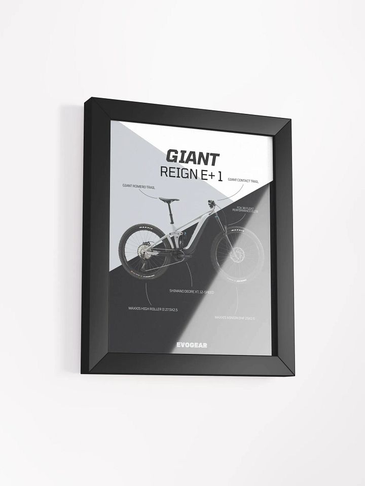 Giant Reign E+ 1 frame product image (6)