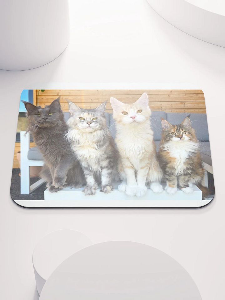 4 Generations - Mouse Pad product image (1)