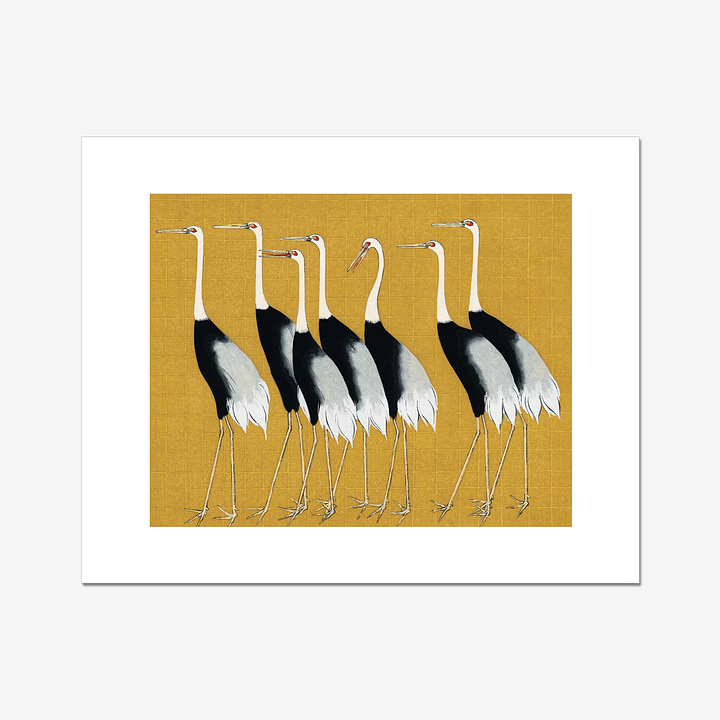 A Traditional Portrait of a Flock of Beautiful Japanese Red Crown Crane - Ogata Korin product image (1)