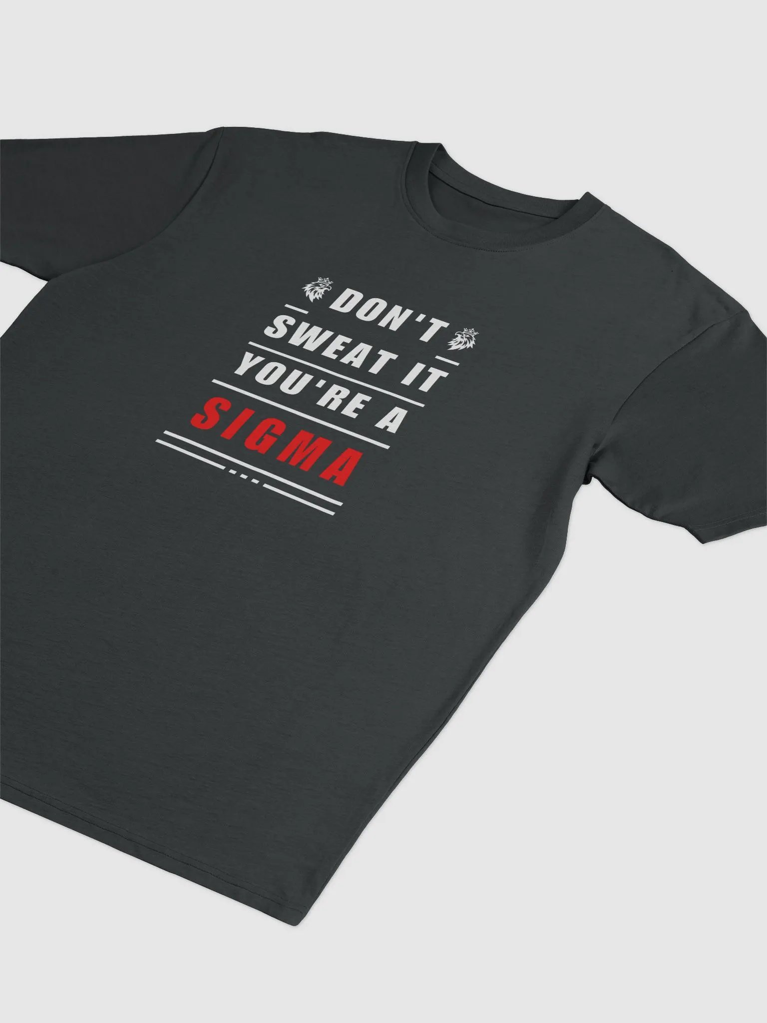 Don't Sweat it, you're a Sigma Oversized T-shirt product image (4)