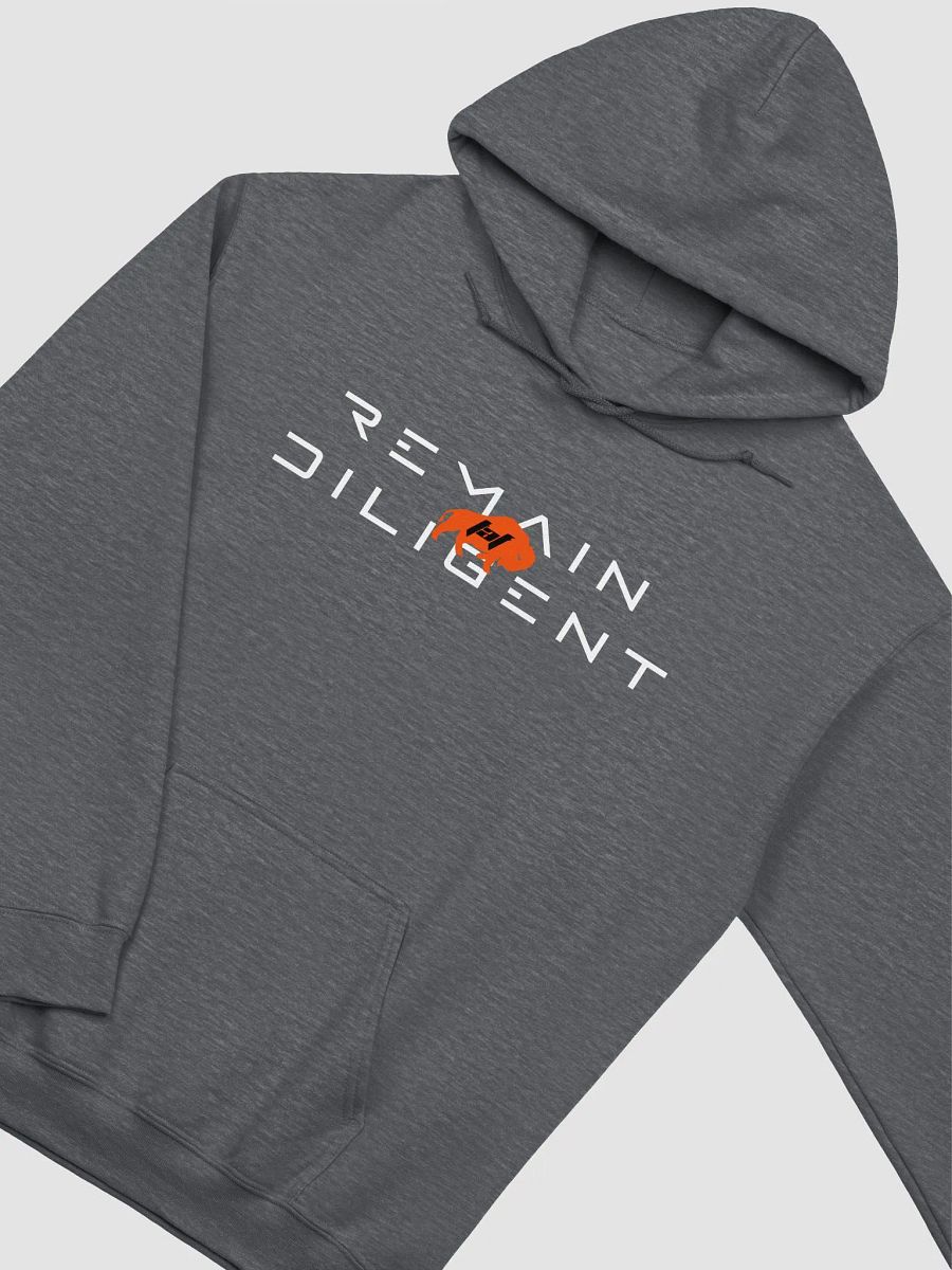 Remain Diligent Hoodie product image (5)