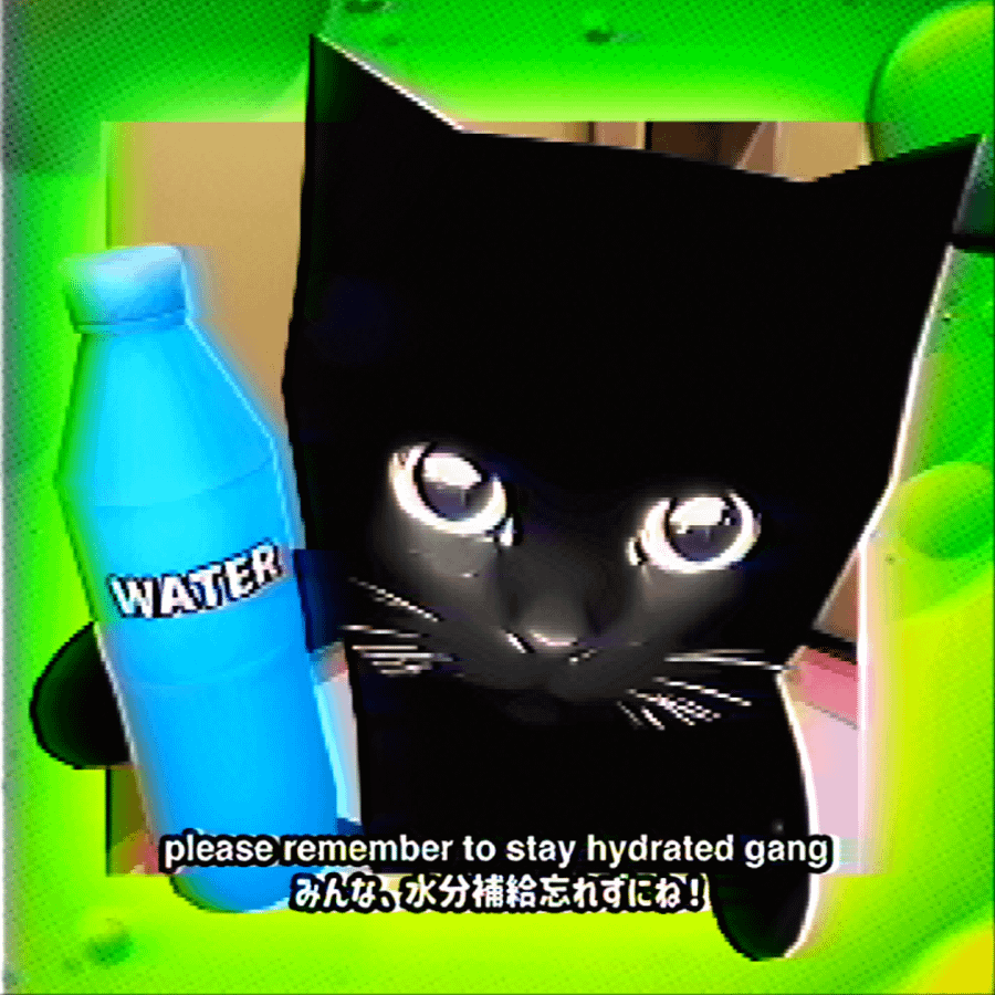 STAY HYDRATED product image (4)