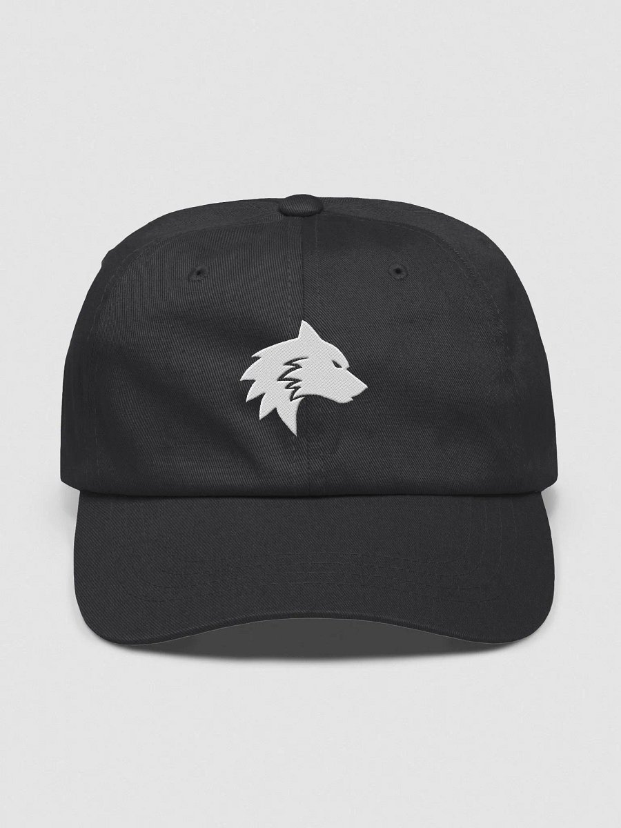 ENDxLINE Logo Hat product image (1)