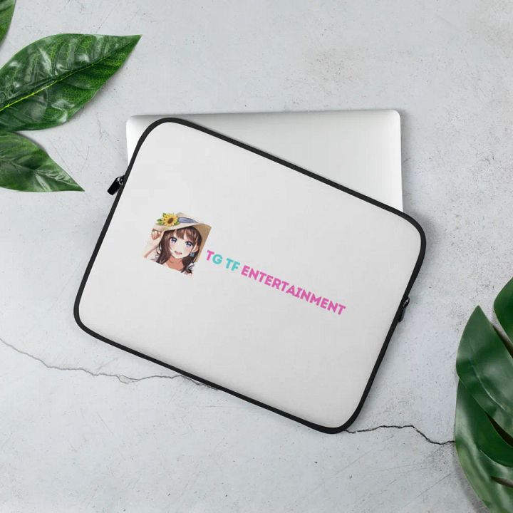 TG TF Entertainment Laptop Bag product image (3)