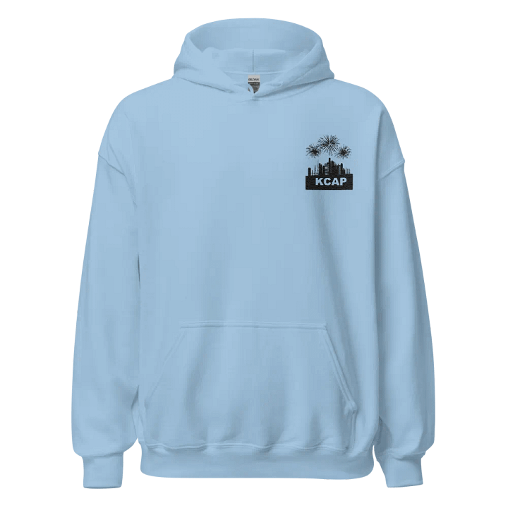Unisex - Gildan - Hoodie - Black Logo product image (78)