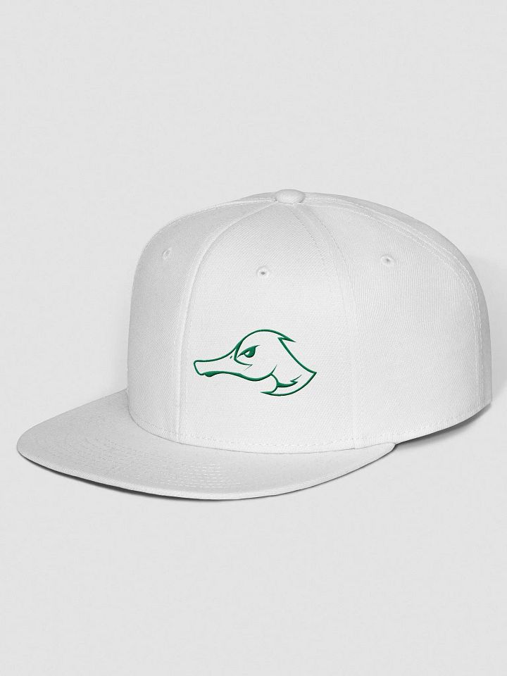 Ducks Outline Snapback product image (12)