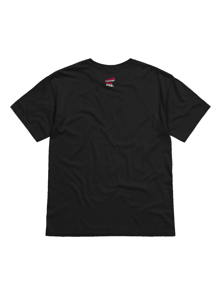 Polandball Official Association T-shirt - Netherlands product image (2)
