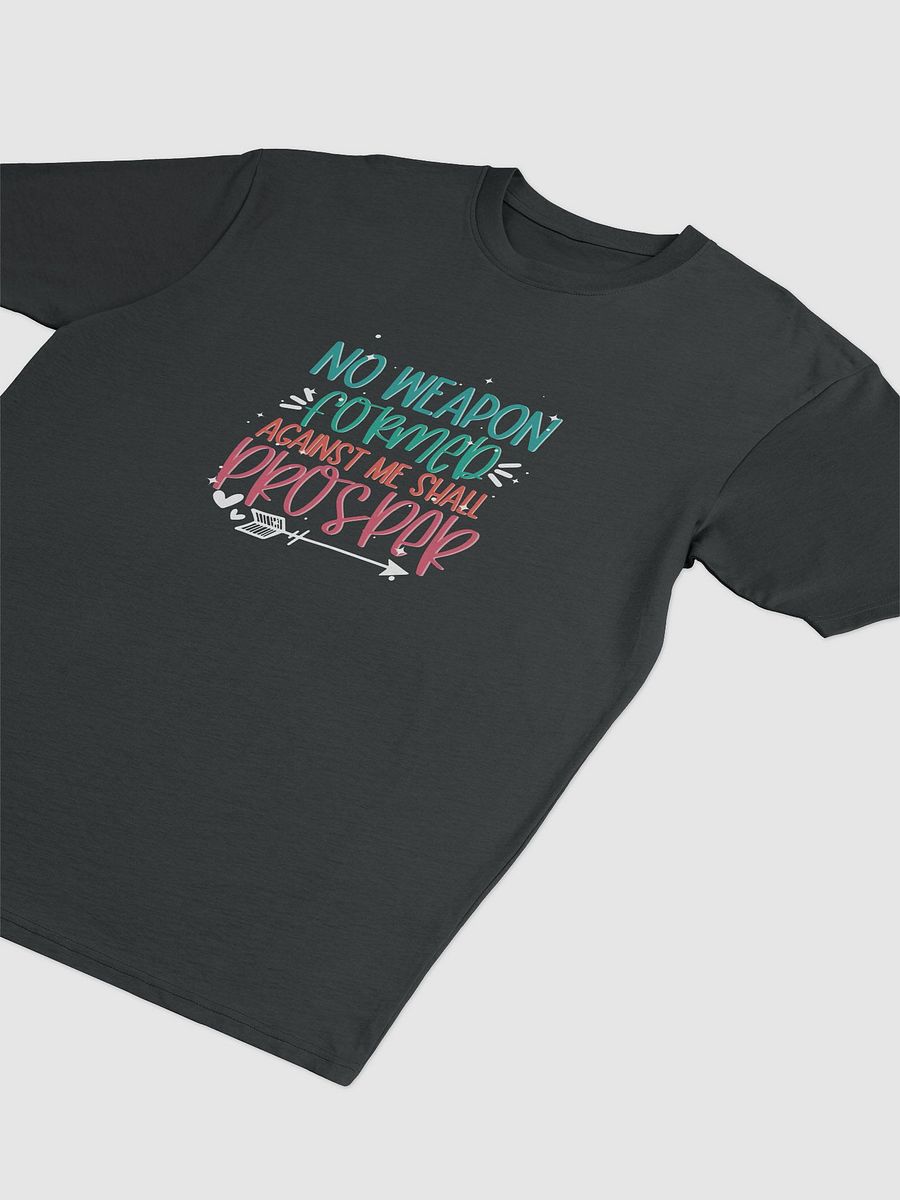 Divine Protection Heavyweight Tee product image (3)